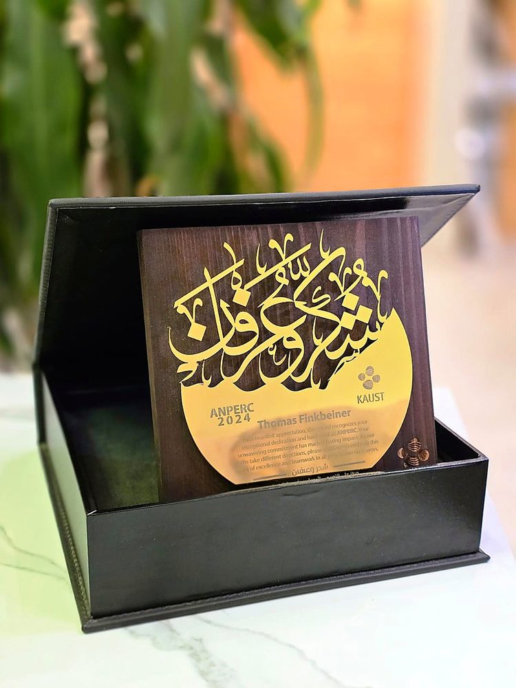 علبة سوداء فاخرة بدرع خط عربي مذهّب